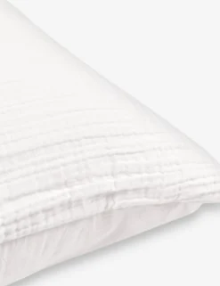 Darcy Sham -KOKOLA Furniture Shop DarcySham2 ef35bb42 d492 4121 9bfb f0e6be8ba96e scaled