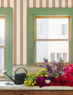 Grosgrain Stripe Peel + Stick Wallpaper By Sarah Jessica Parker -KOKOLA Furniture Shop SJP Grosgrain Stripe on White Pecan RS scaled