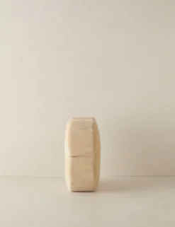 Velvet Clover Pillow By Sarah Sherman Samuel 27 Velvet Clover Pillow By Sarah Sherman Samuel -KOKOLA Furniture Shop VelvetCloverPillow LightBeigebySarahShermanSamuel LightBeige A0656533 3822 Product scaled